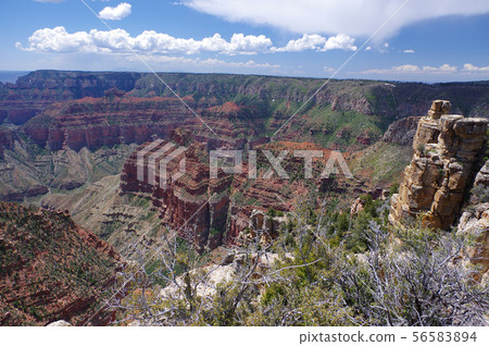 Grand Canyon No Slim (Imperial Point) 56583894