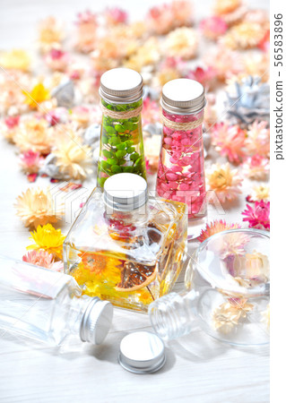 兩個市售植物標本館(粉紅色/綠色)和一個手工製作的原始植物標本館(黃色)。雜貨 兩個市售植物標本館(粉紅色/綠色)和一個手工製作的原始植物標本館(黃色)。雜貨 56583896