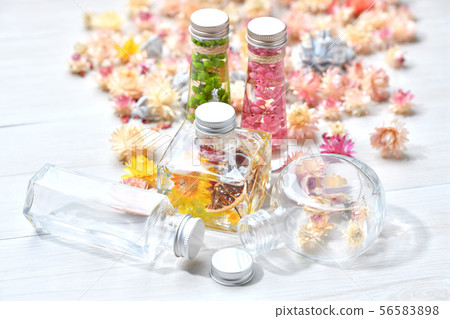 兩個市售植物標本館（粉紅色/綠色）和一個手工製作的原始植物標本館（黃色）。雜貨 56583898