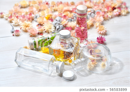 兩個市售植物標本館(粉紅色/綠色)和一個手工製作的原始植物標本館(黃色)。雜貨 兩個市售植物標本館(粉紅色/綠色)和一個手工製作的原始植物標本館(黃色)。雜貨 56583899