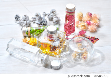 兩個市售植物標本館（粉紅色/綠色）和一個手工製作的原始植物標本館（黃色）。雜貨 56583900