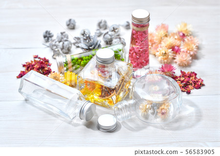 兩個市售植物標本館（粉紅色/綠色）和一個手工製作的原始植物標本館（黃色）。雜貨 56583905