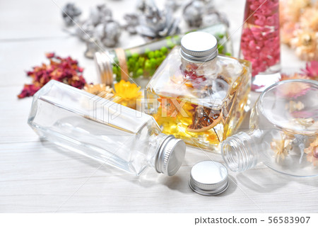 兩個市售植物標本館（粉紅色/綠色）和一個手工製作的原始植物標本館（黃色）。雜貨 56583907