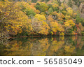 Autumn hot spring lake 56585049