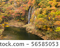 Retrospective waterfall 56585053