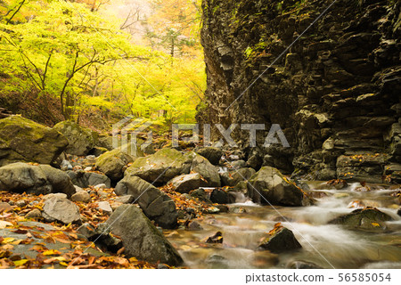 Autumn leaves of Oku Nikko - Yu lake ~ 56585054