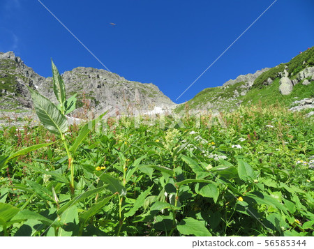 穗高 穗高 56585344