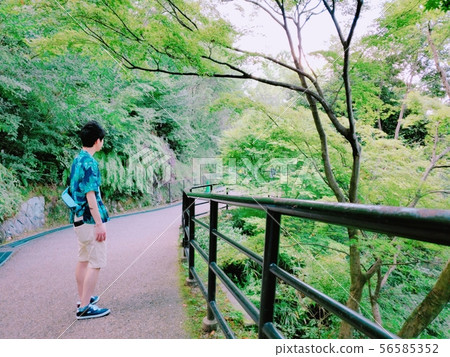 The road to tomorrow 56585352