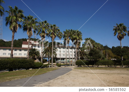 Kyukamura Okunoshima 56585502