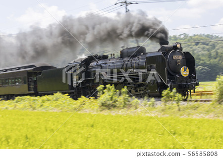 SL Yamaguchi 56585808