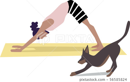 瑜伽下來狗姿勢 56585824