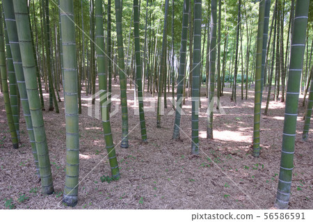 宇都宮市和歌山農場 56586591