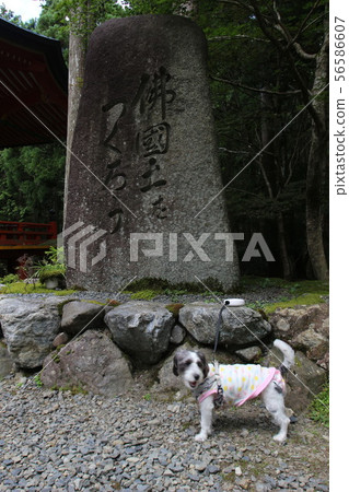 Hiezan Enryakuji 56586607
