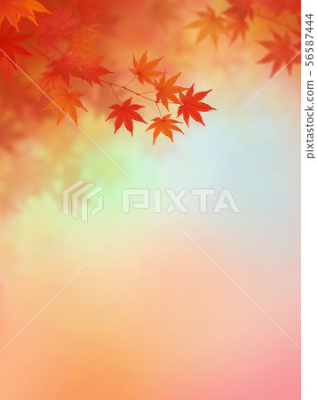 Background-Japanese-Japanese style-Japanese pattern-Japanese paper-Autumn leaves-Autumn-Gradation 56587444