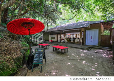  Todoroki Valley 56588558