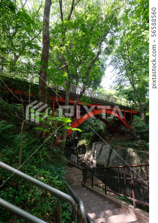  Todoroki Valley 56588560