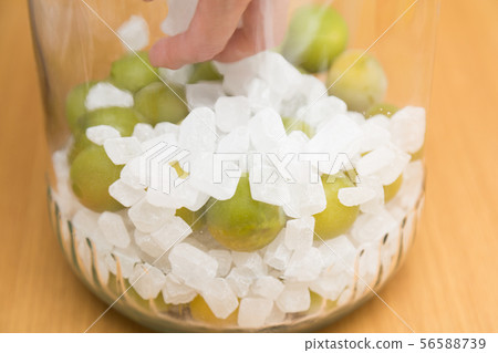 梅子汁製作 梅子汁製作 56588739