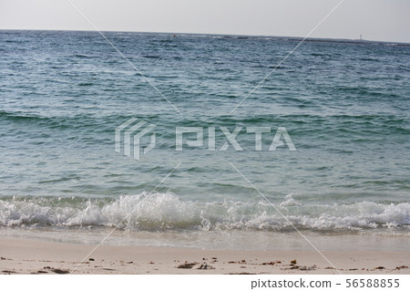 平靜的海面 56588855