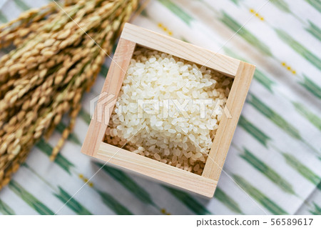 Rice white rice bowl Rice white rice bowl 56589617
