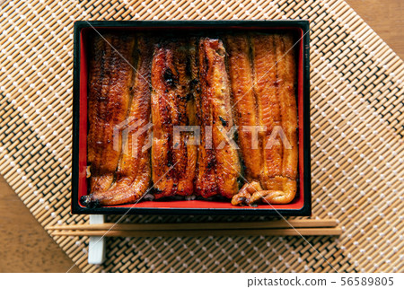 Eel heavy eel heavy eel Eel heavy eel heavy eel 56589805