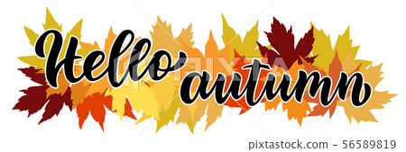 Hello autumn hand written composition with maple leaves in background 56589819