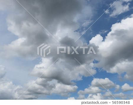 Sky Sky 56590348