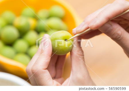 採摘李子 56590599