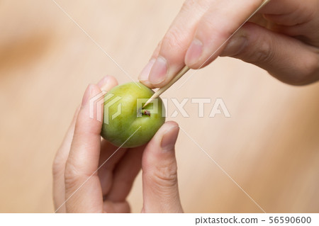 採摘李子 56590600