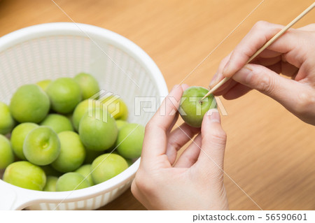 採摘李子 56590601
