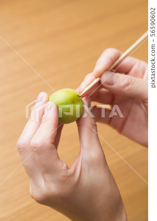 採摘李子 56590602