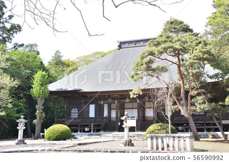 摩卡市Senshoji寺 56590992