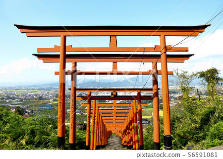 福岡縣浮世奈里 56591081