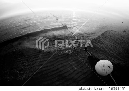 Buoys on water waves. Sea at sunset. 56591461