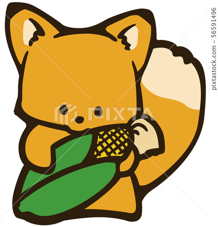 Illustration of a fox holding corn 56591496