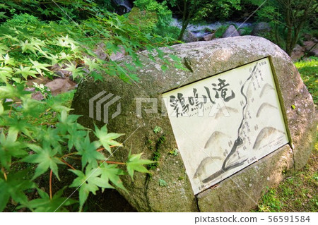  Cock Waterfall 56591584