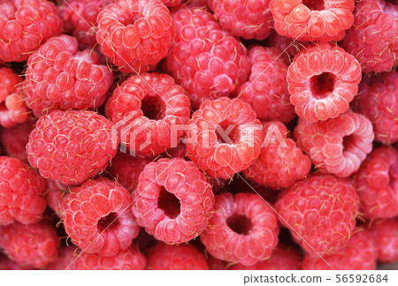 Basket of fresh ripe sweet raspberries Basket of fresh ripe sweet raspberries 56592684