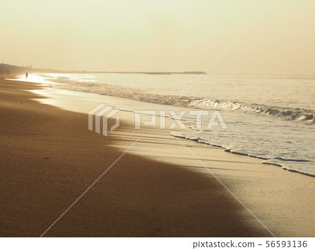 夏天清晨海 56593136