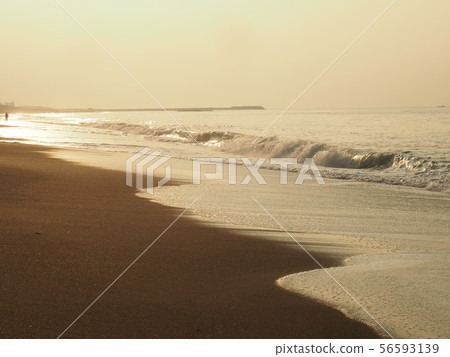 夏天清晨海 56593139
