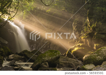 [Kumamoto Prefecture] Early morning couple waterfall and light beam 56593591