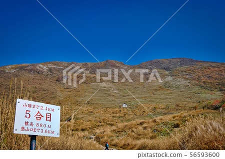 第5次會議 56593600