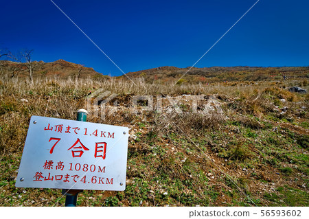 顯示第七站的招牌 顯示第七站的招牌 56593602