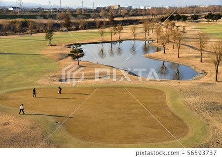 秋冬高爾夫球場 56593737