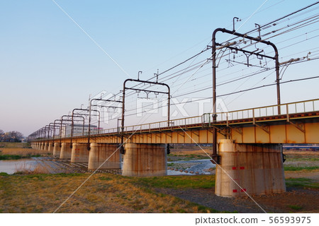 Tamagawa Bridge on the Keio Line in the evening 56593975
