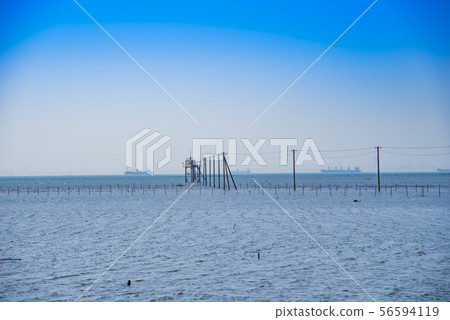 [Kutsuma Coast] 56594119