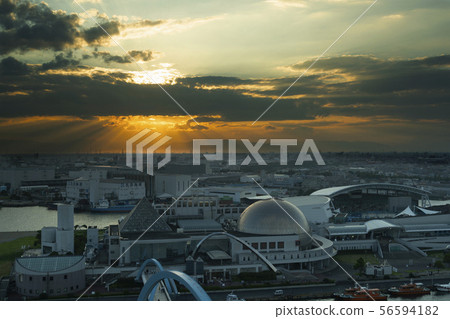 名古屋港水族館和日落 56594182