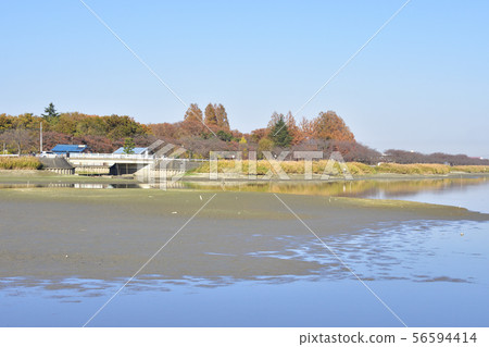 Isanuma風景 56594414