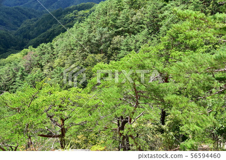 Peak view of Shosenkyo Ropeway 56594460