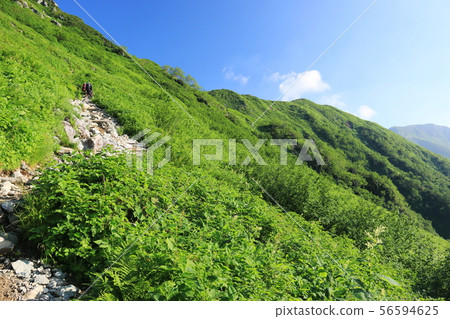 Road to Kasugatake, Northern Alps, Koike Shindo, climbing from Kagamihira to Mt. 56594625