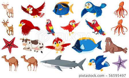 Set of different types of sea animals and birds - Stock Illustration  [56595497] - PIXTA