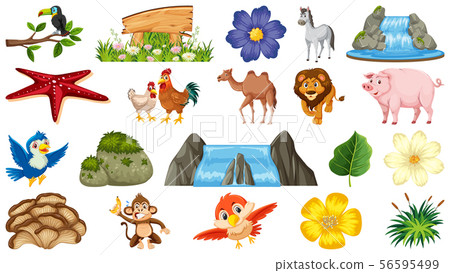 Set of animals and plants 56595499